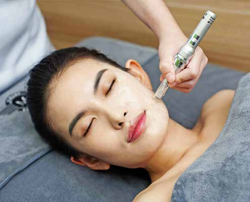Traditional Chinese Medicine Aesthetic Microneedle